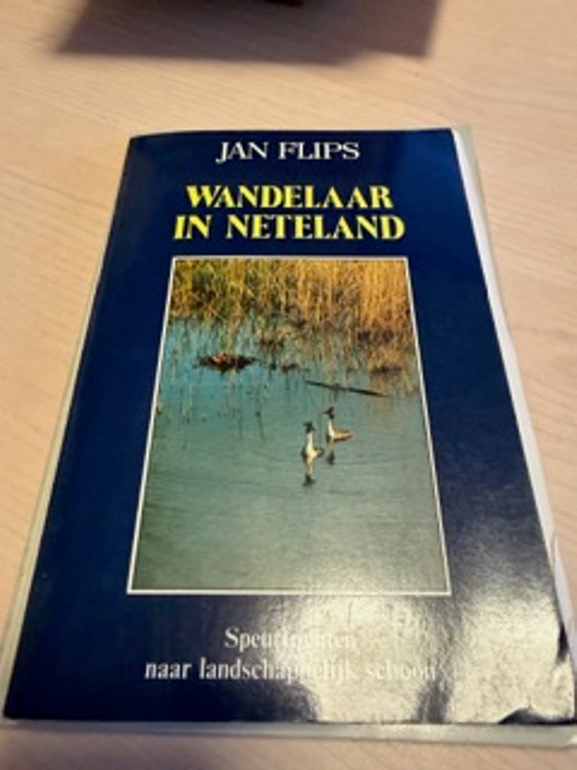 coverImage