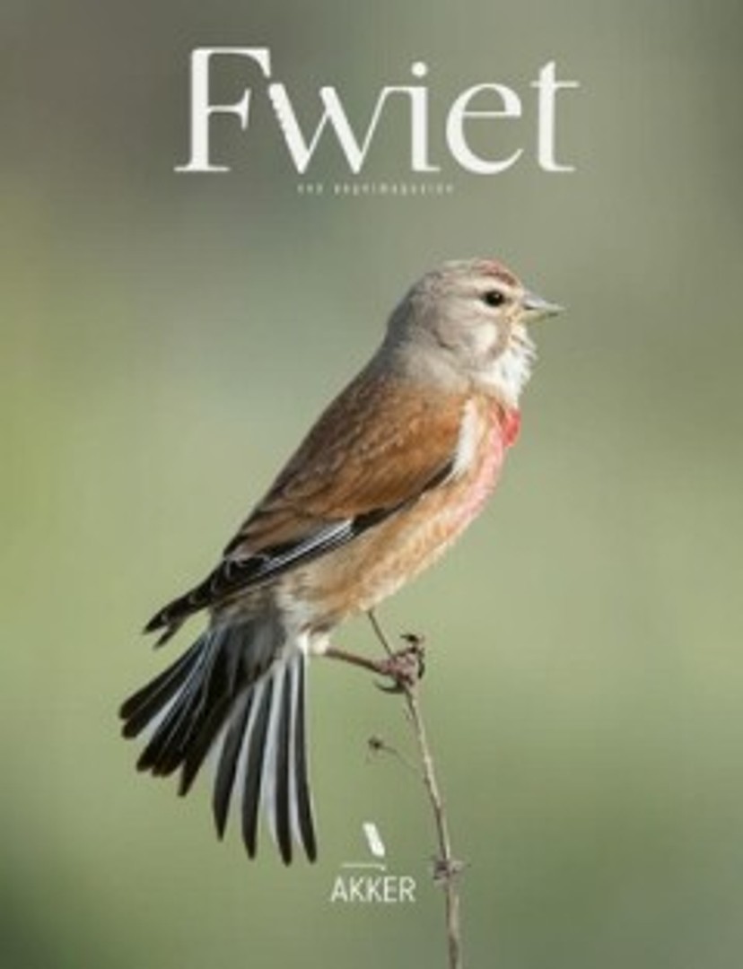 coverImage