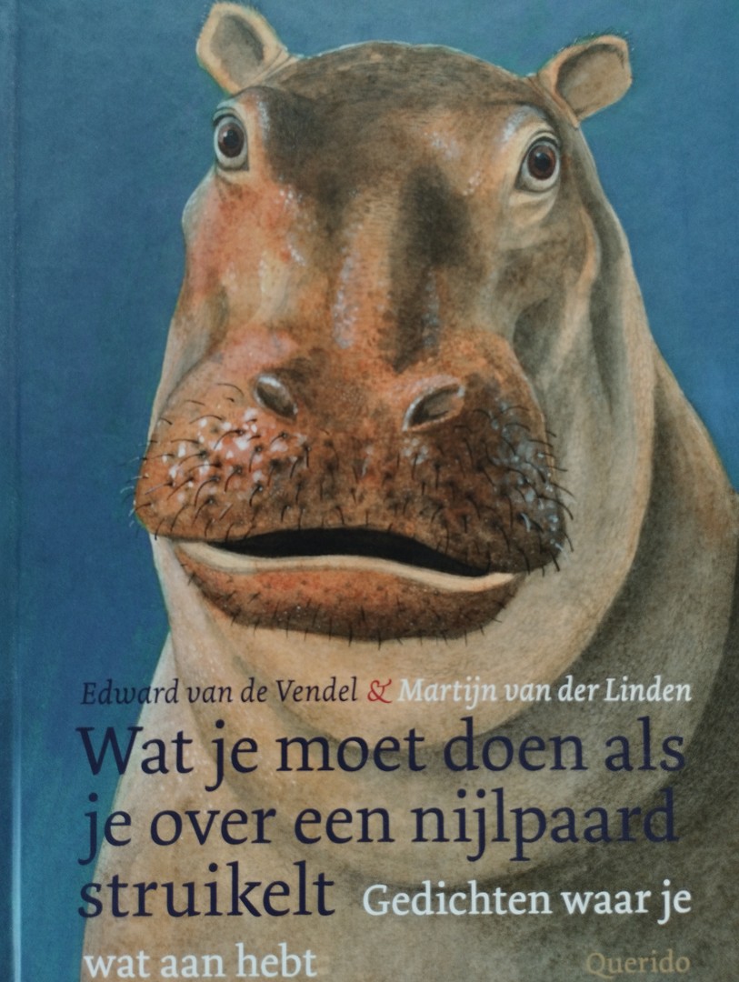 coverImage