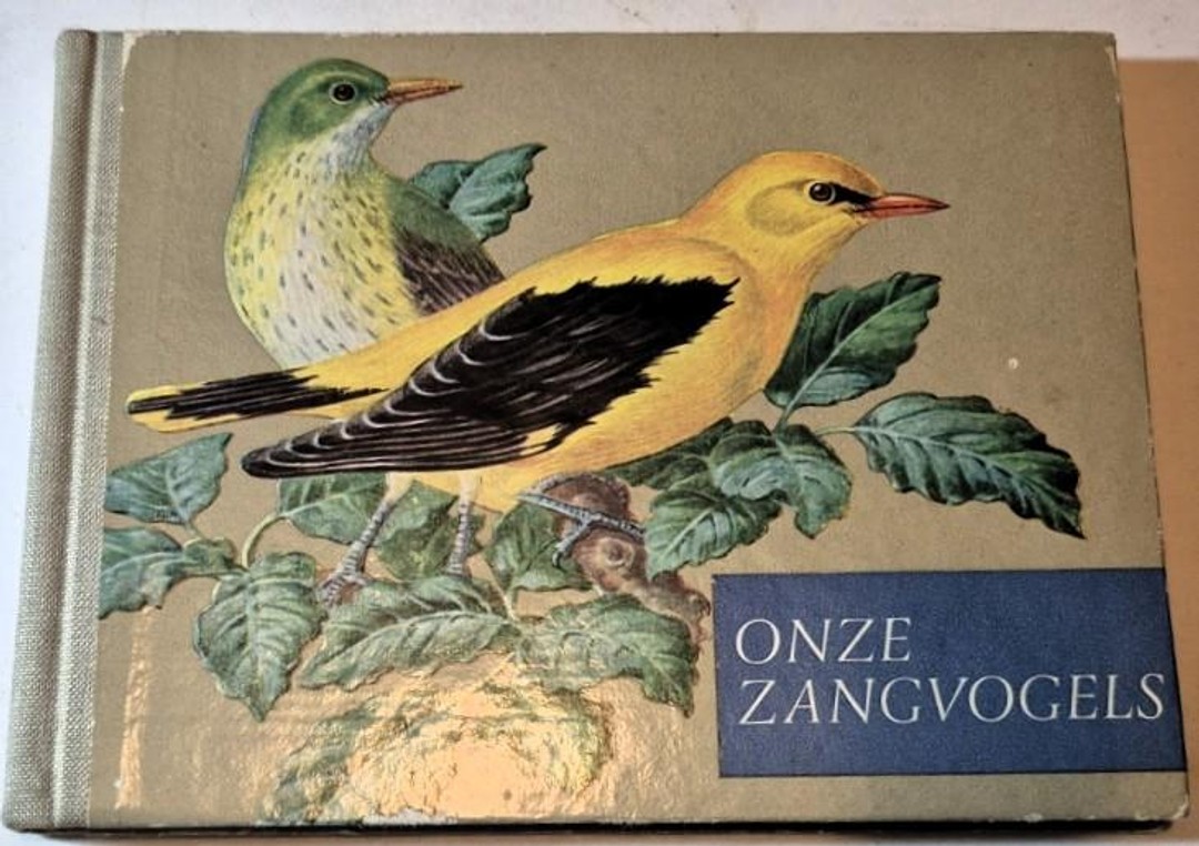 coverImage
