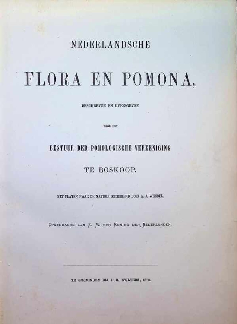 coverImage