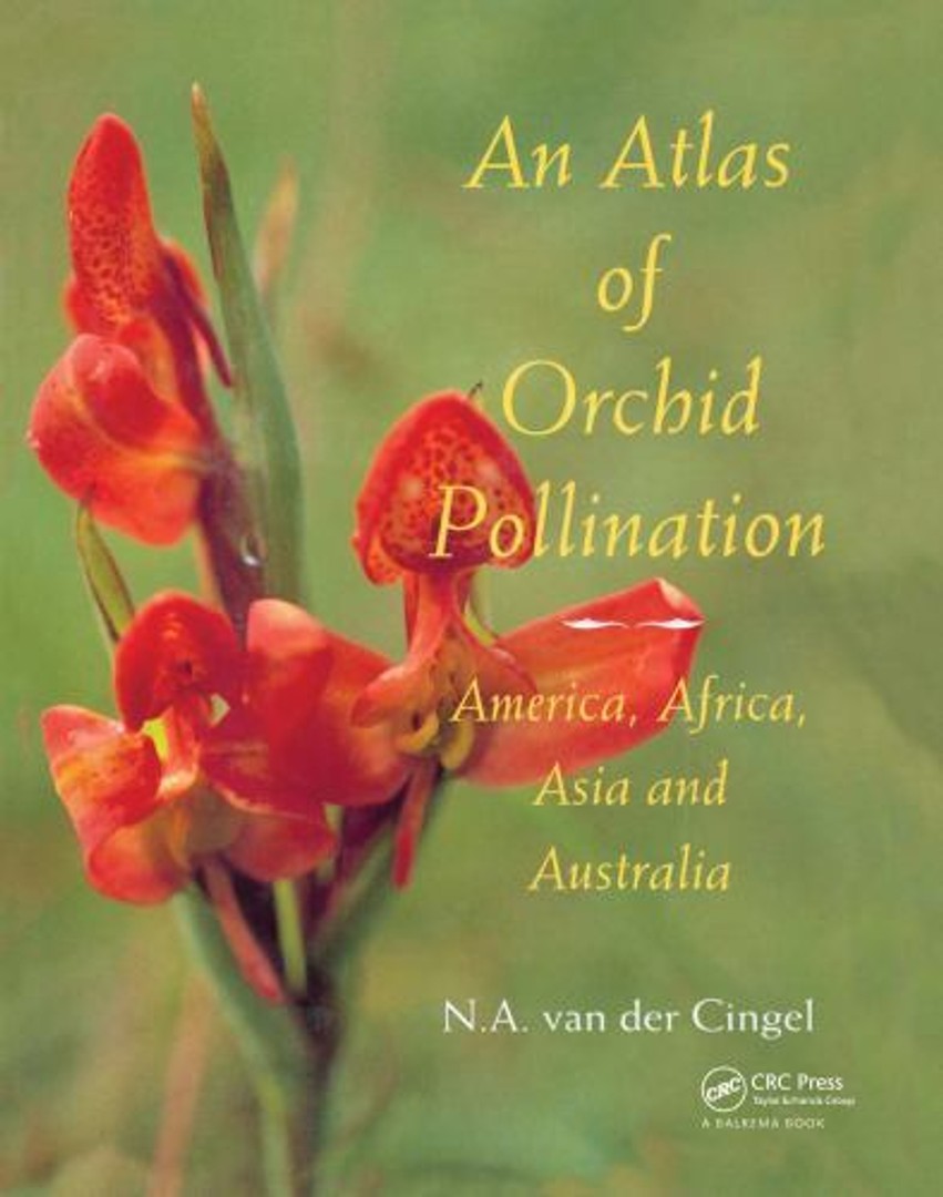coverImage
