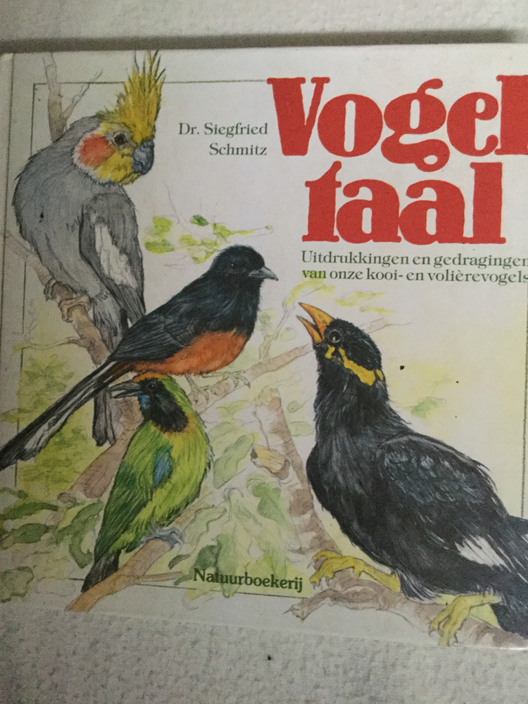 coverImage