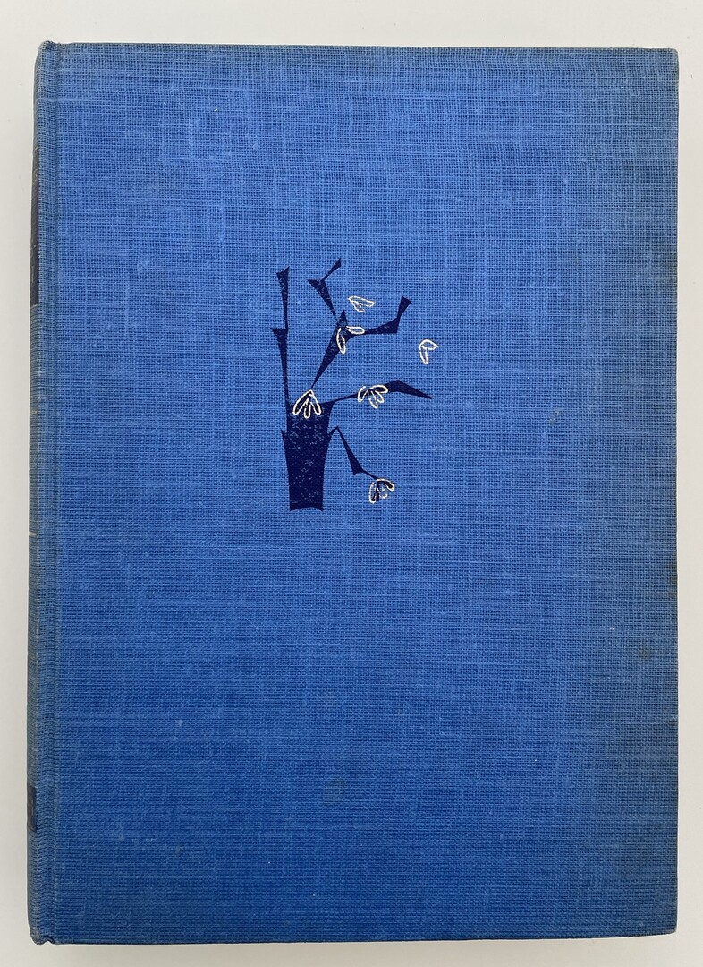 coverImage