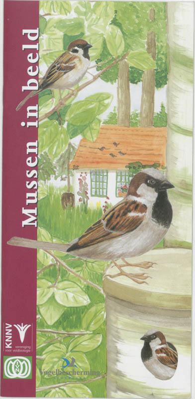 coverImage