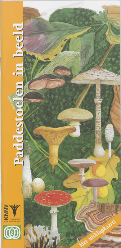 coverImage