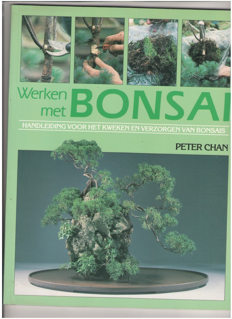 coverImage
