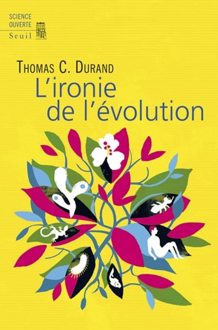 coverImage
