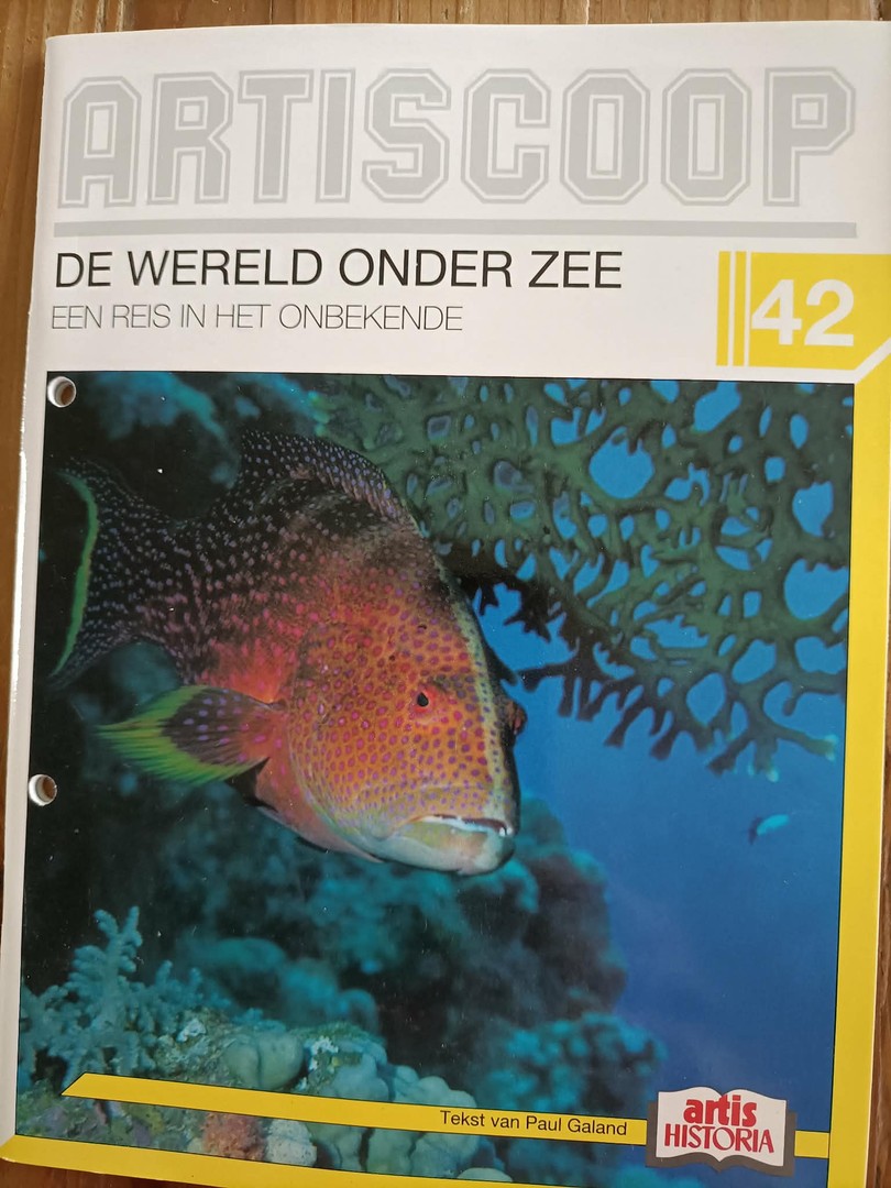 coverImage