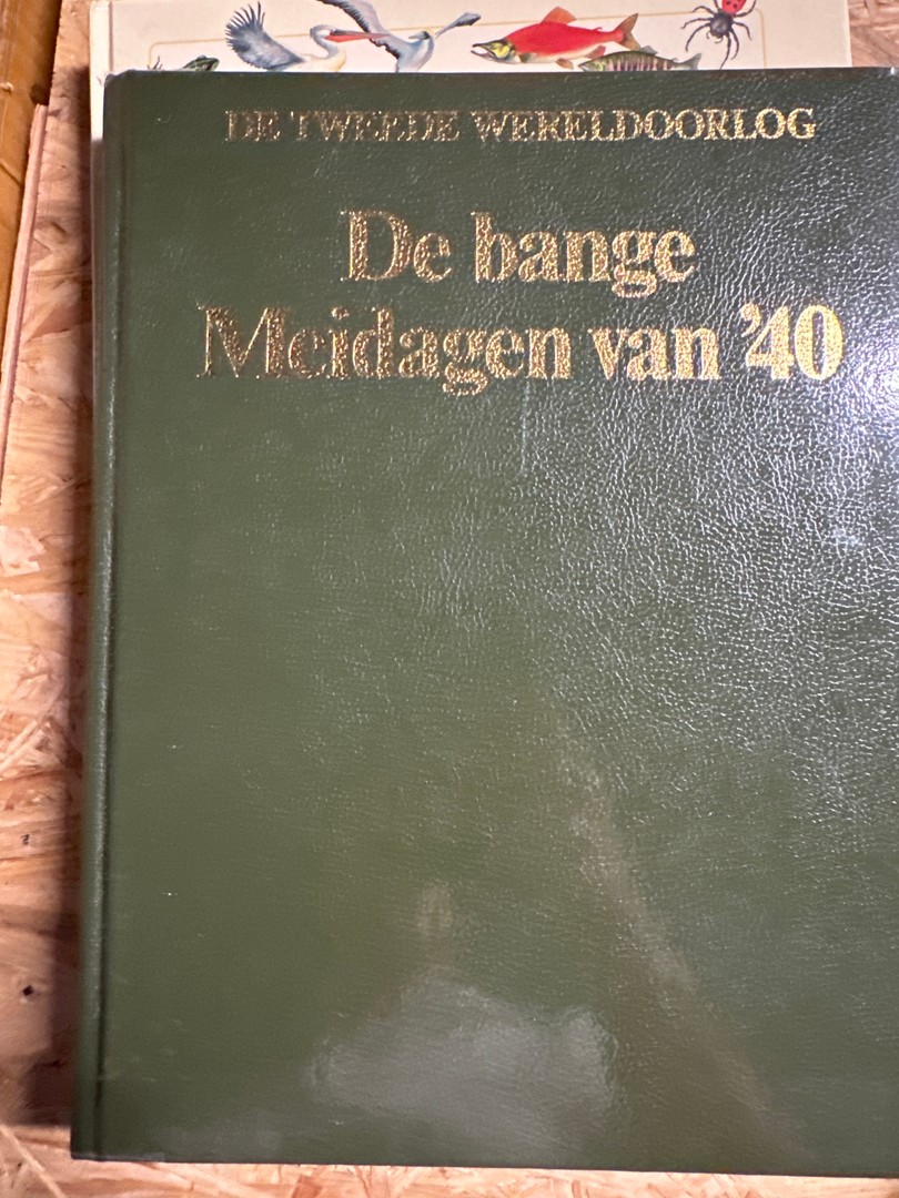 coverImage