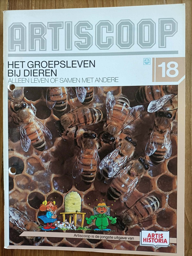 coverImage