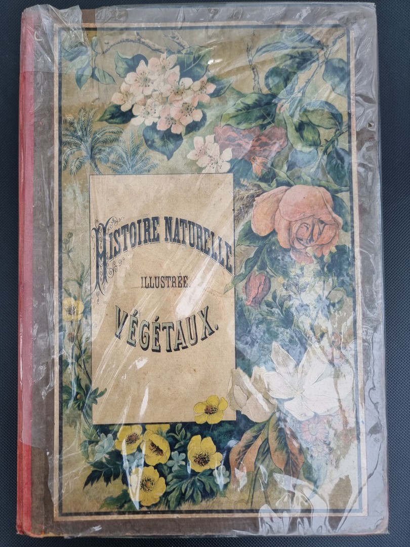 coverImage