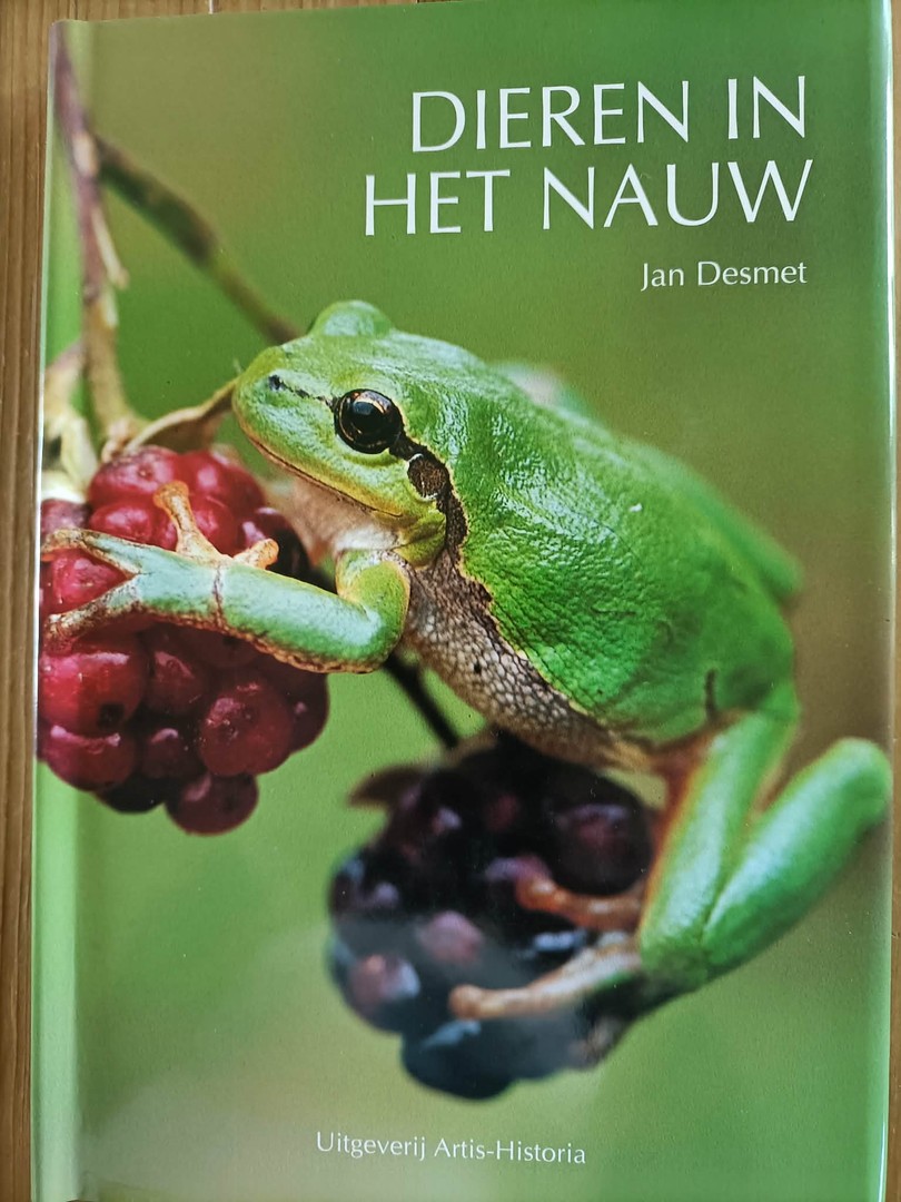 coverImage
