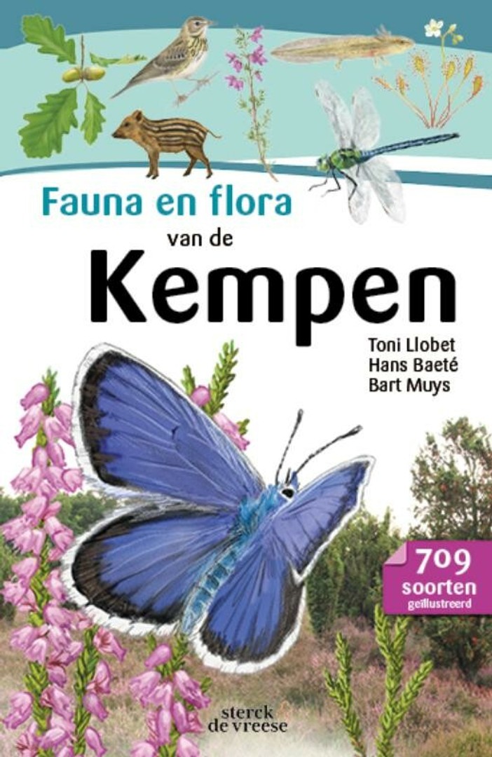 coverImage
