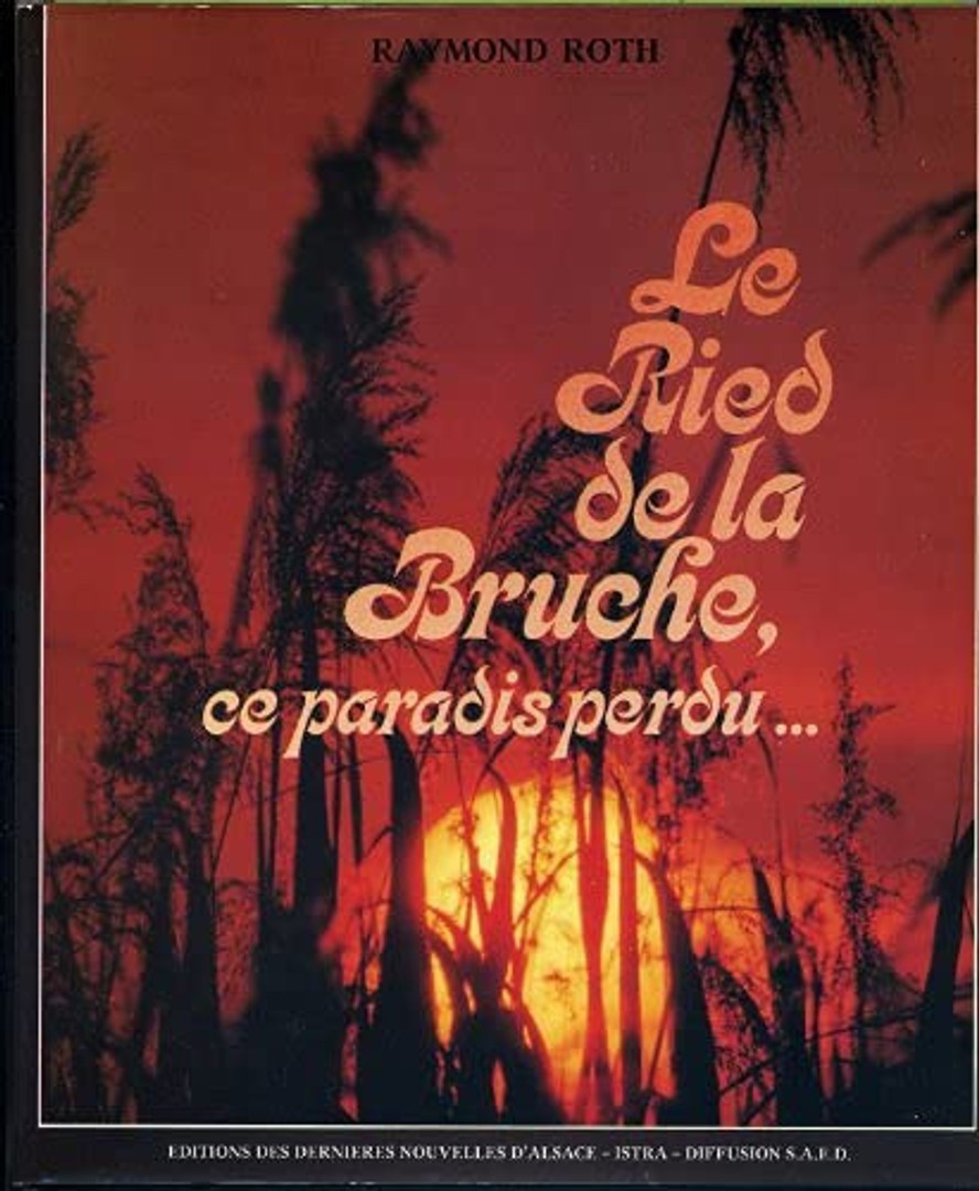 coverImage