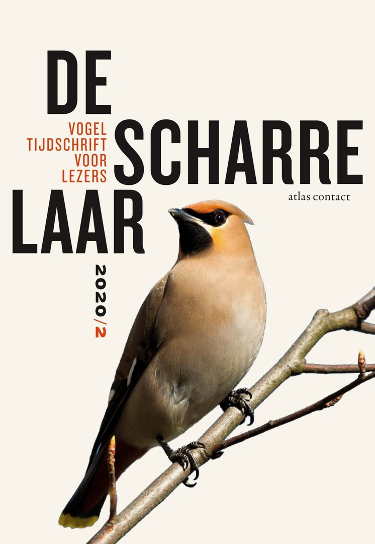 coverImage