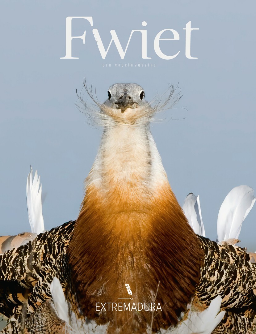 coverImage