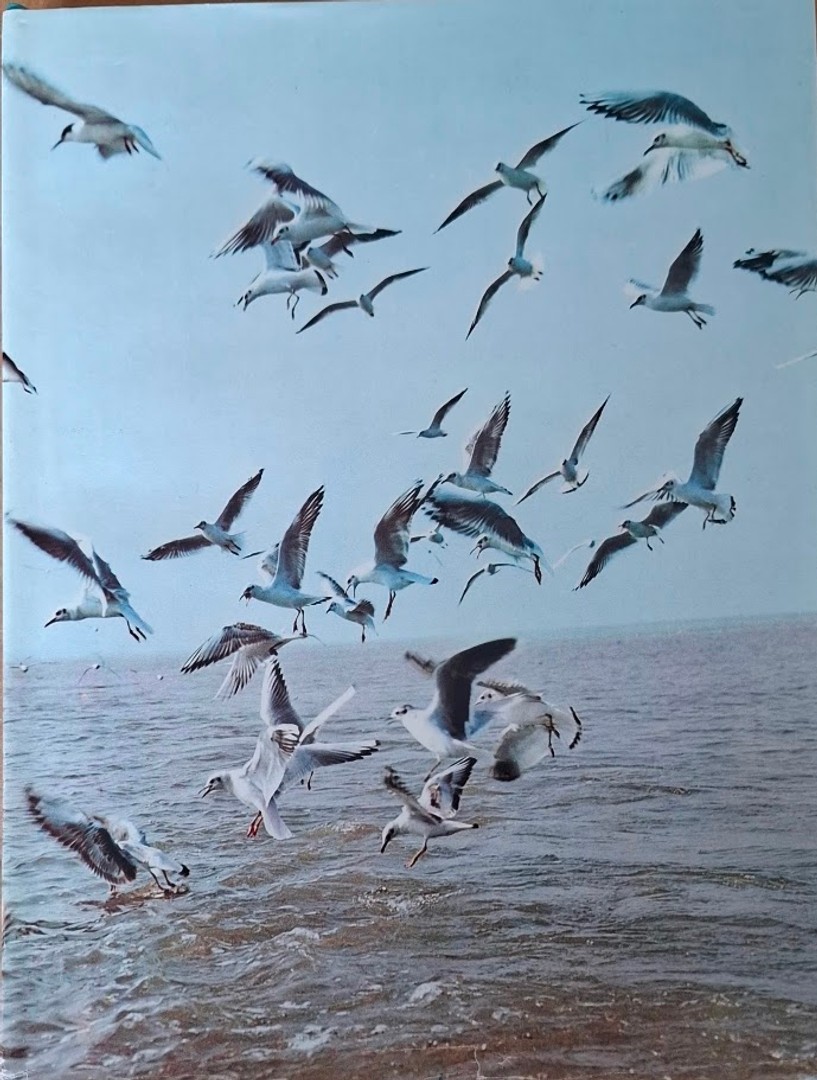 coverImage
