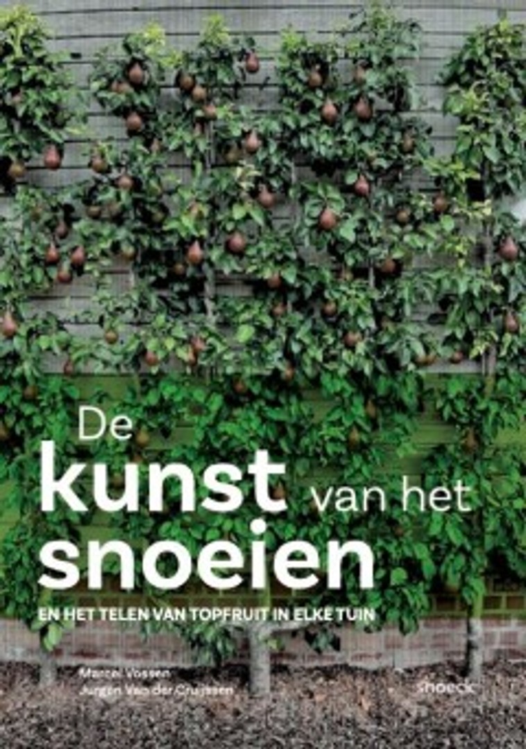coverImage