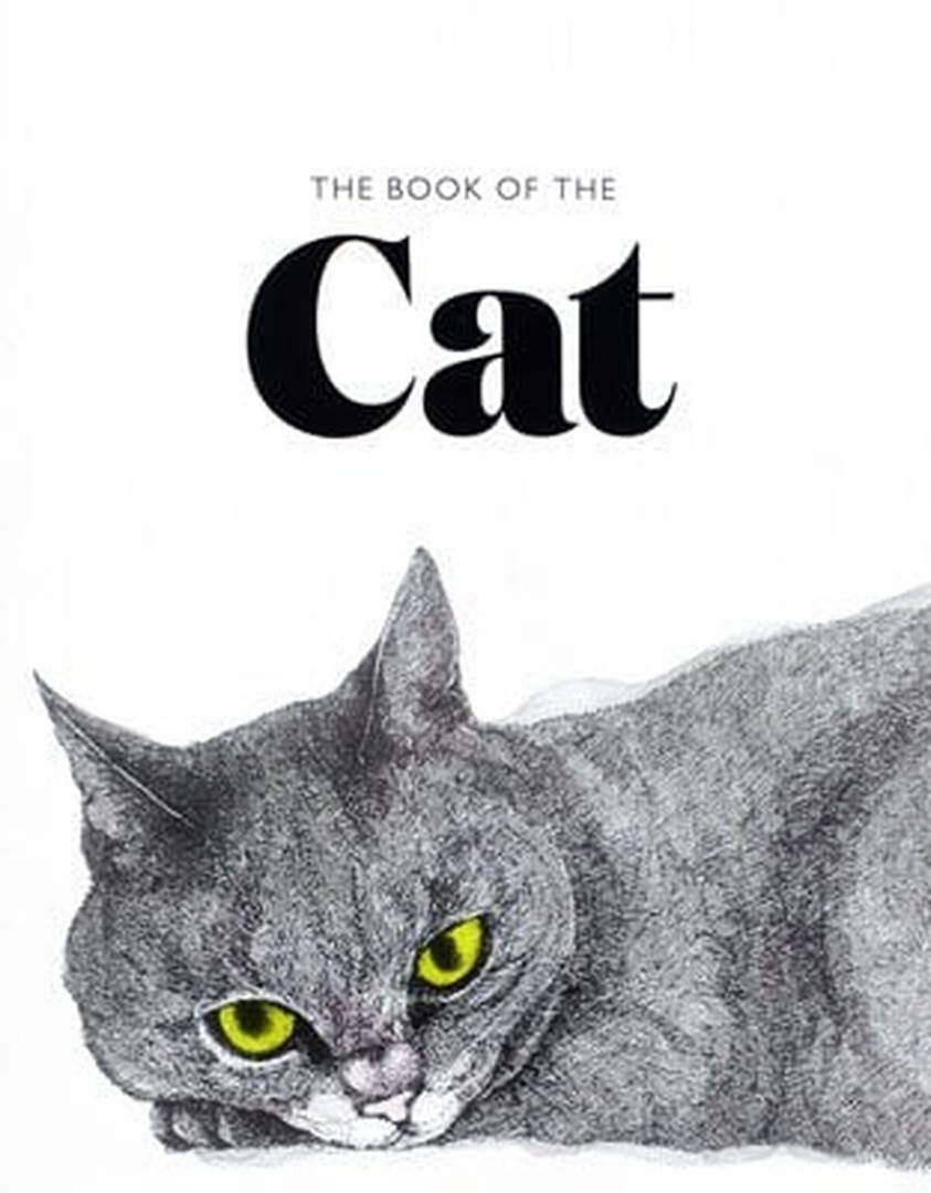 coverImage