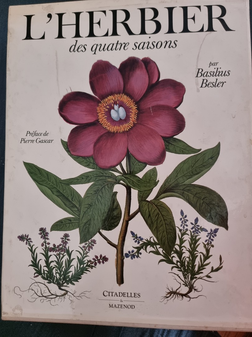coverImage