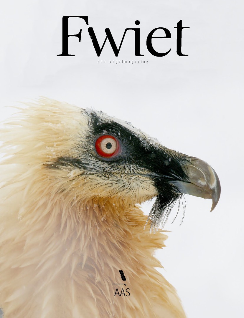 coverImage