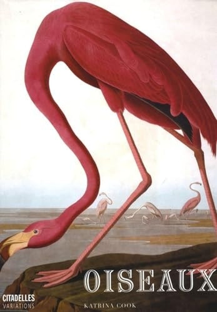 coverImage