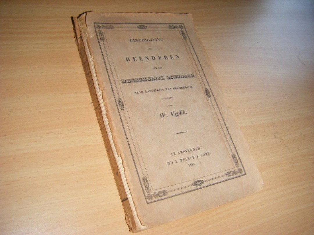 coverImage