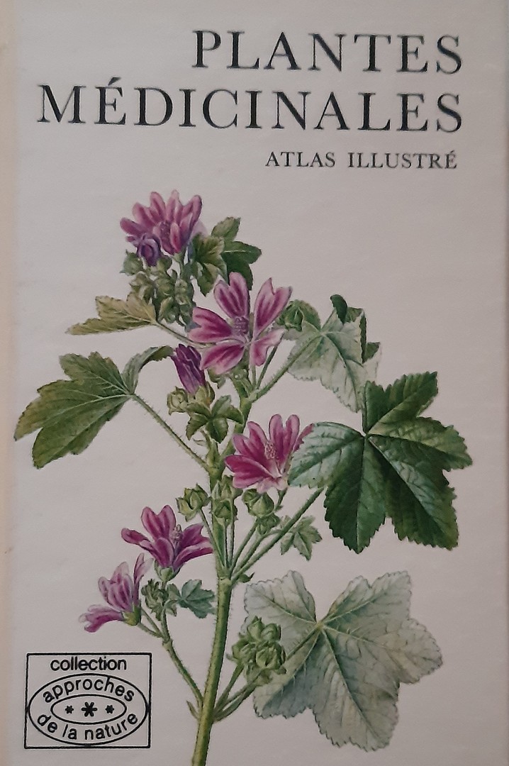 coverImage