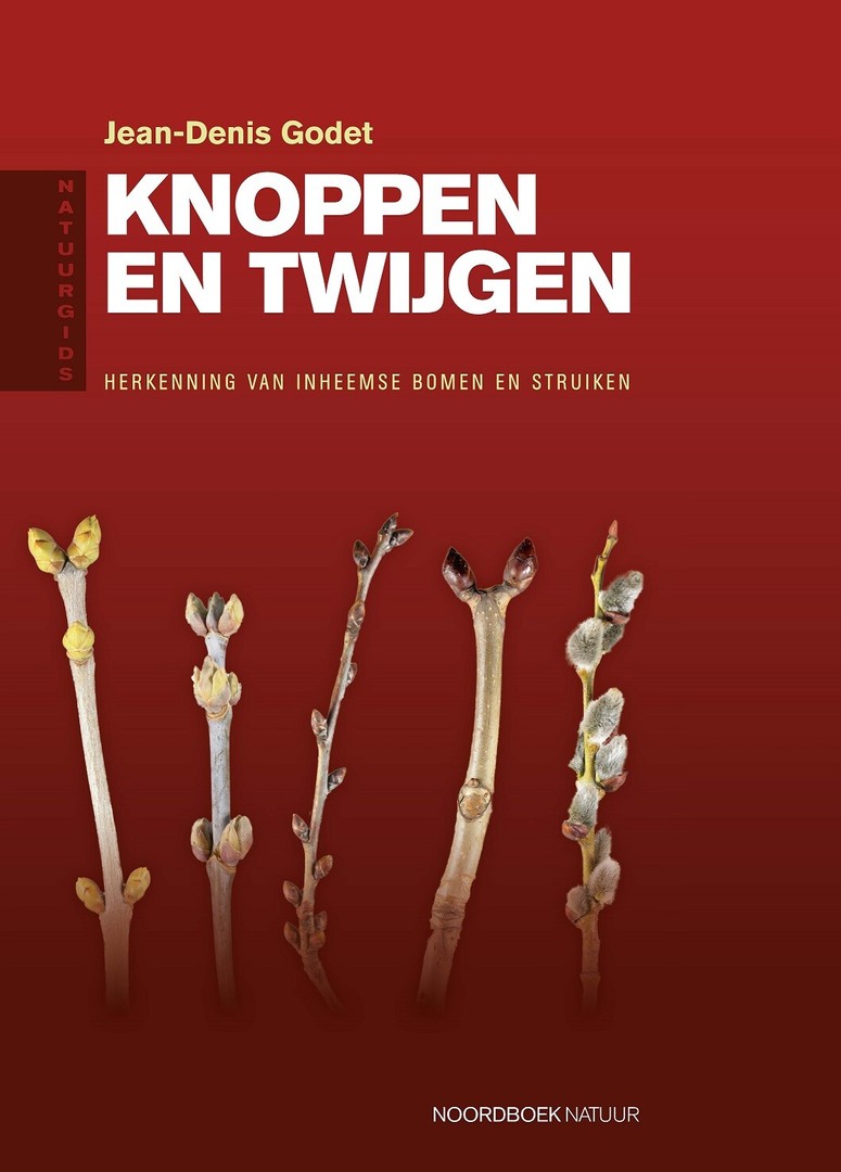 coverImage