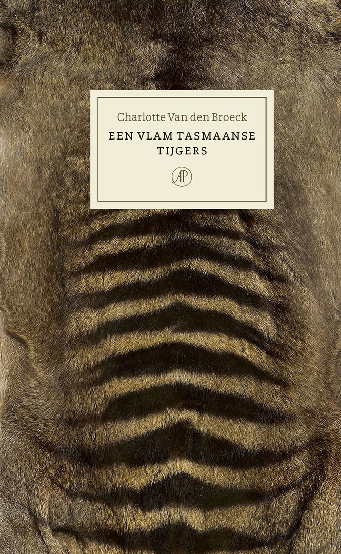 coverImage