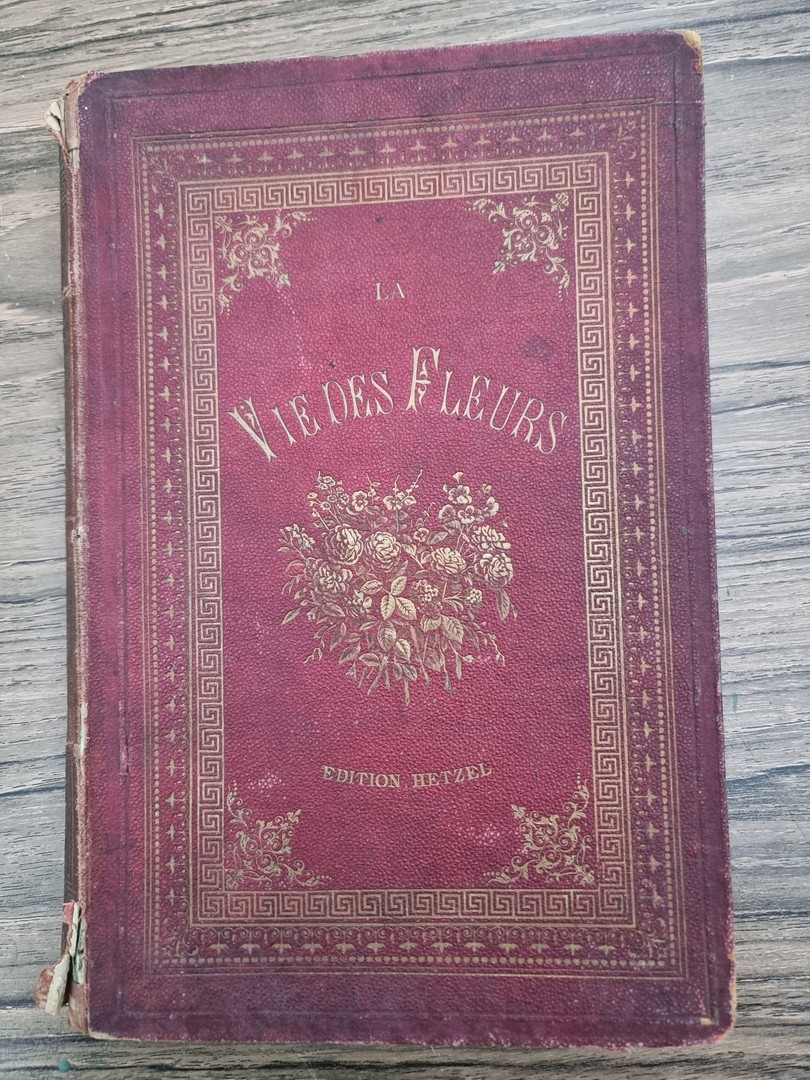 coverImage