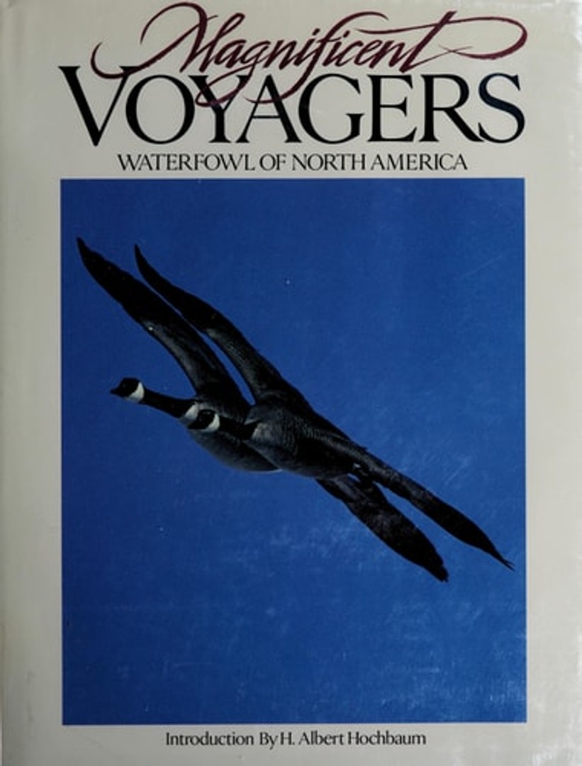 coverImage