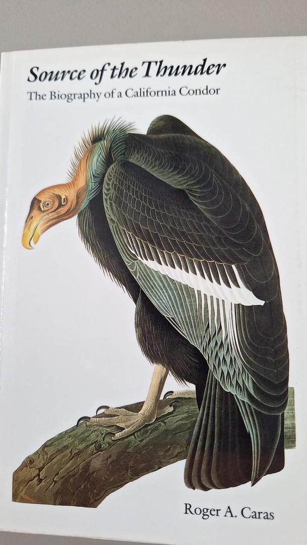 coverImage
