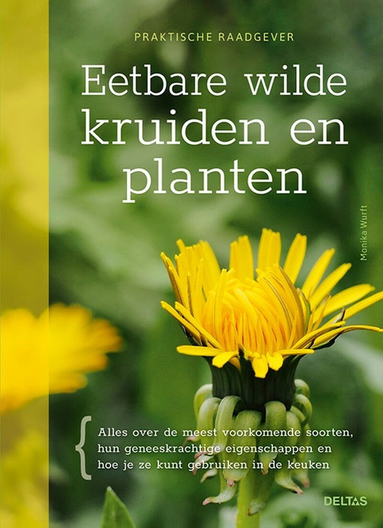 coverImage