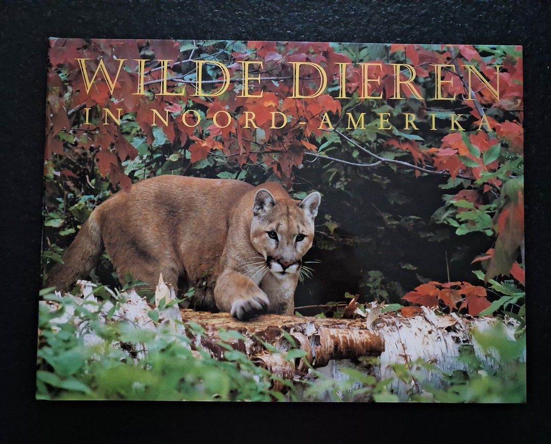 coverImage