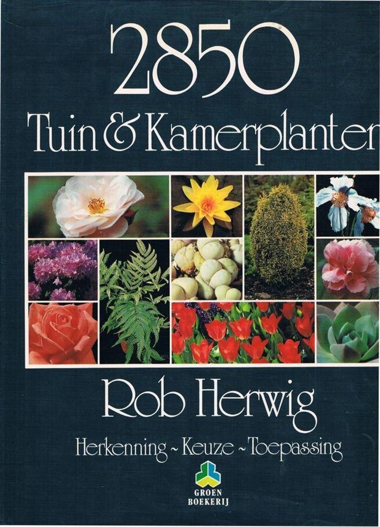 coverImage