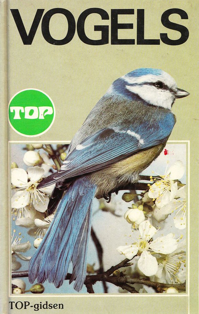 coverImage