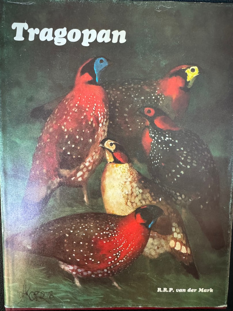 coverImage