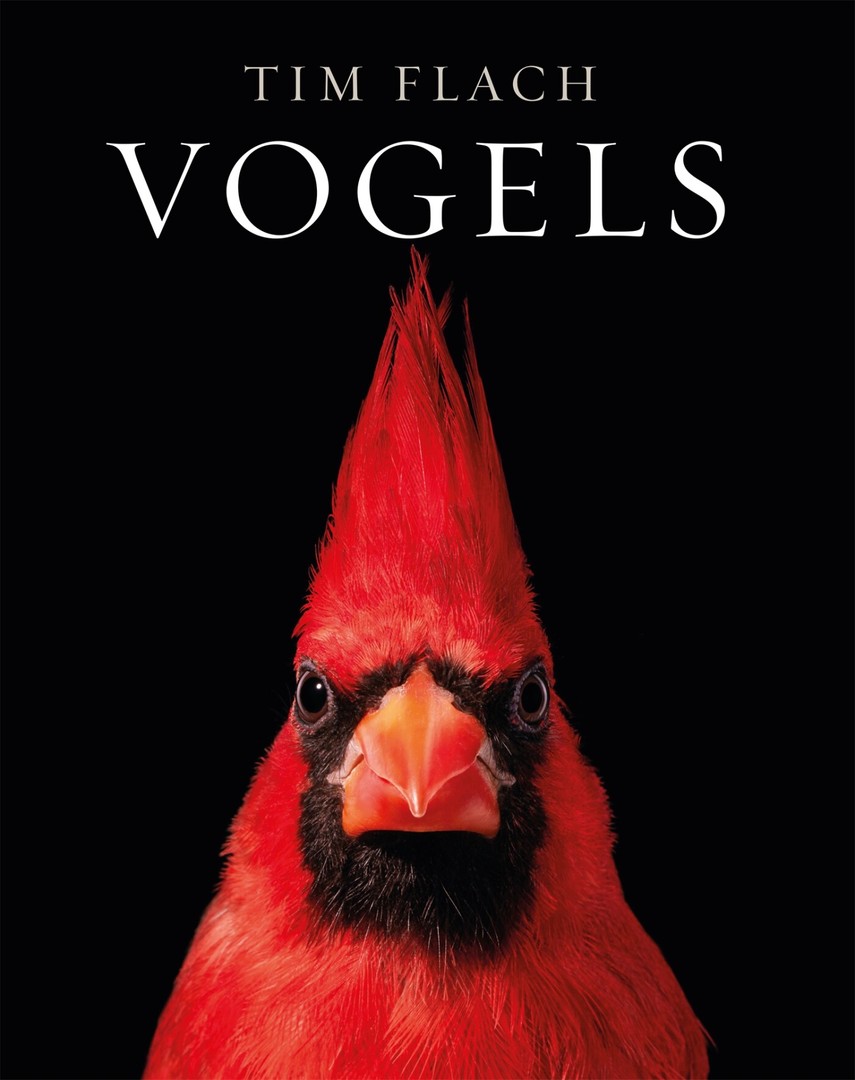 coverImage