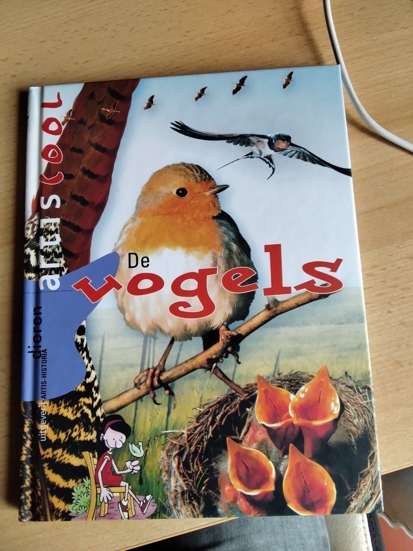 coverImage