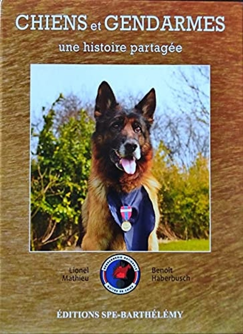 coverImage