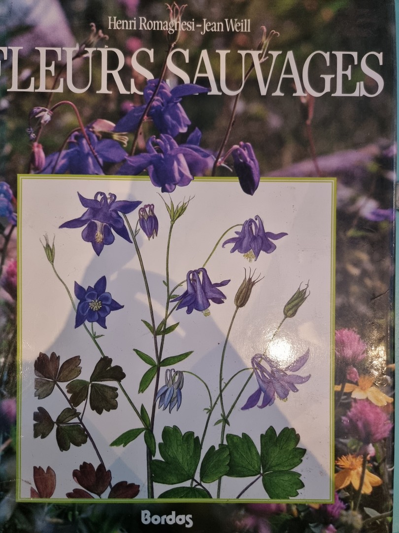 coverImage