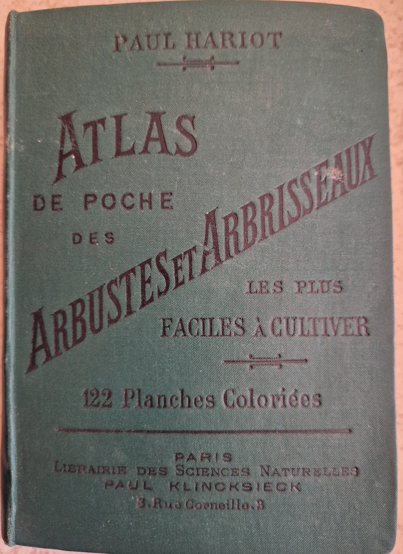 coverImage