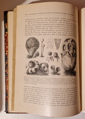 bookImage