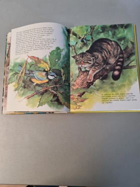 bookImage