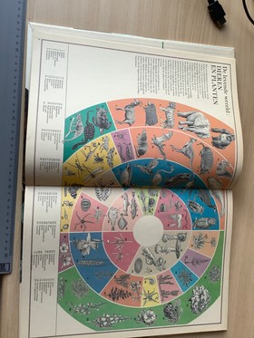 bookImage