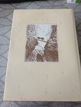 bookImage
