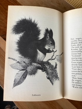 bookImage
