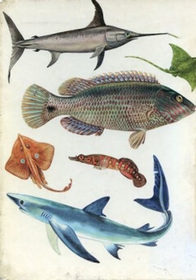 bookImage